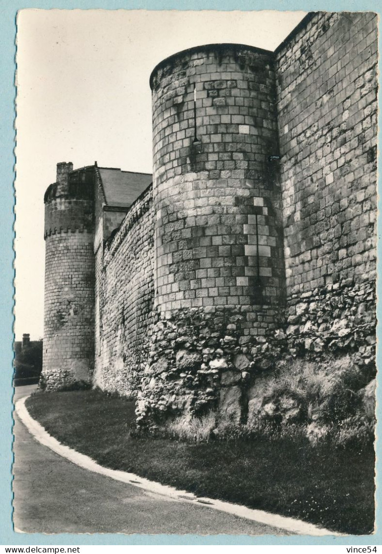 LE GRAND-PRESSIGNY - Le Château Et Les Remparts - Le Grand-Pressigny