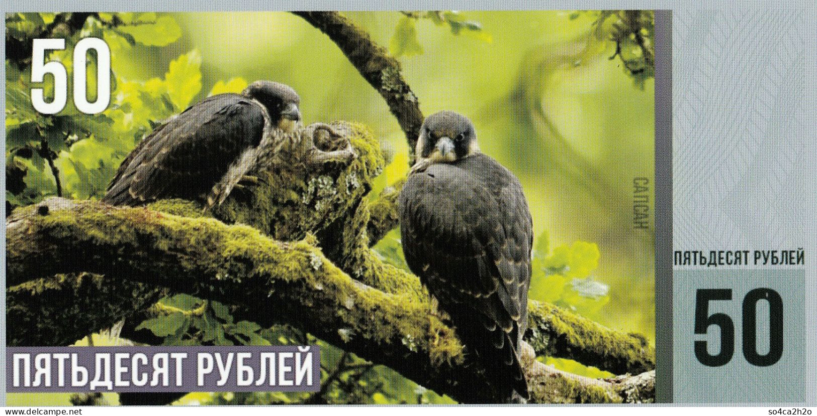 Le Livre Des Oiseaux 50 Rubles 2015  Le Sapsan UNC - Fictifs & Spécimens