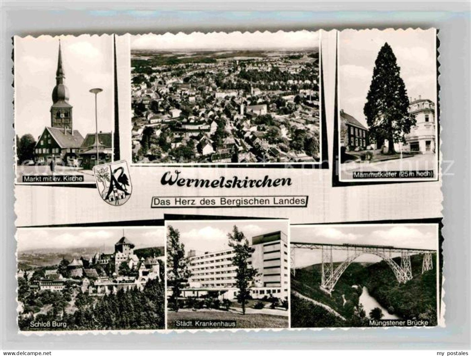 42768192 Wermelskirchen Markt Evangelische Kirche Mammutkiefer Schloss Burg Brue - Wermelskirchen