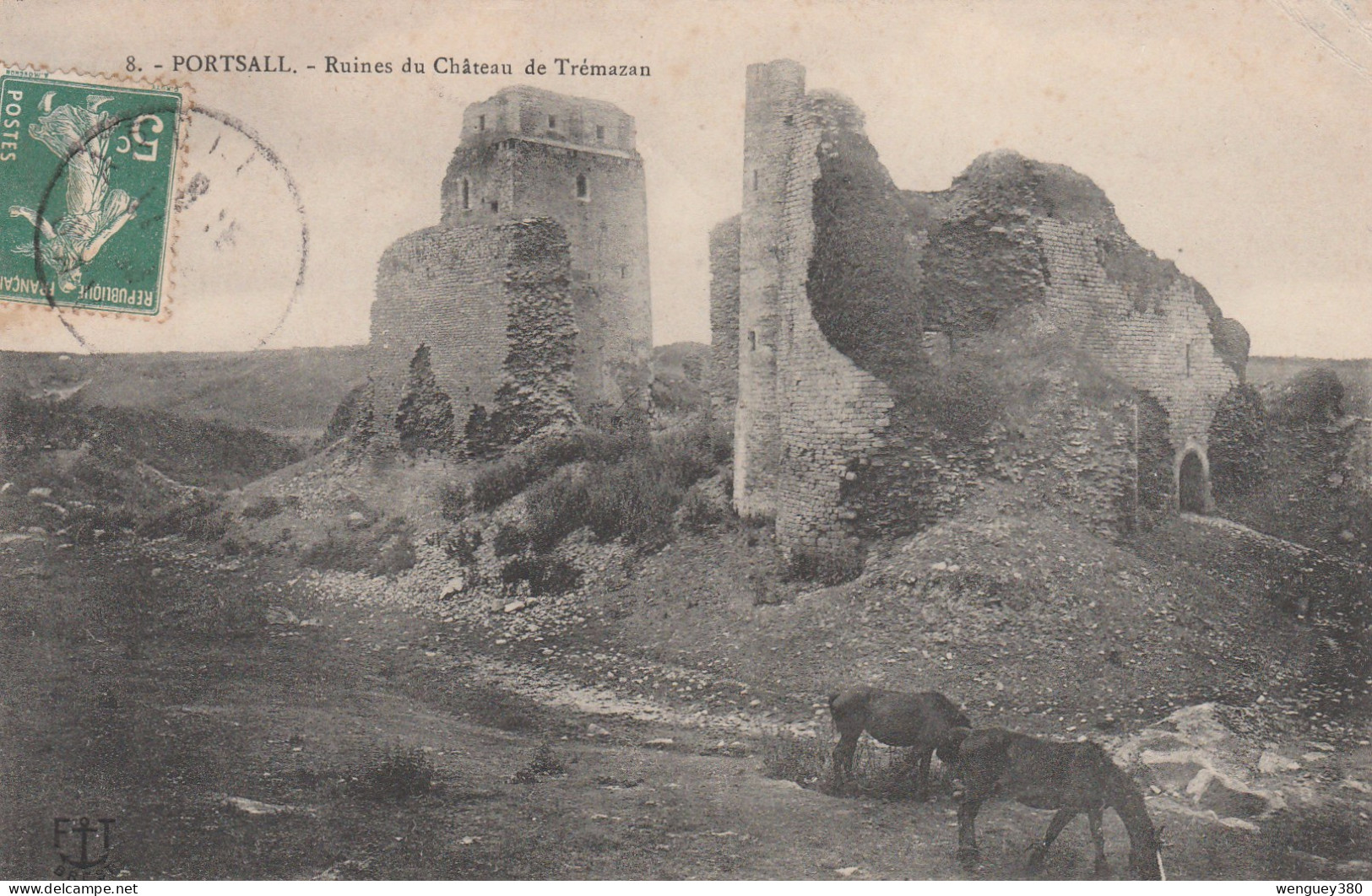 29 PORTSALL PLOUDALMEZEAU.      Ruines Du Château De Trémazan   TB  PLAN  1908.  RARE - Ploudalmézeau