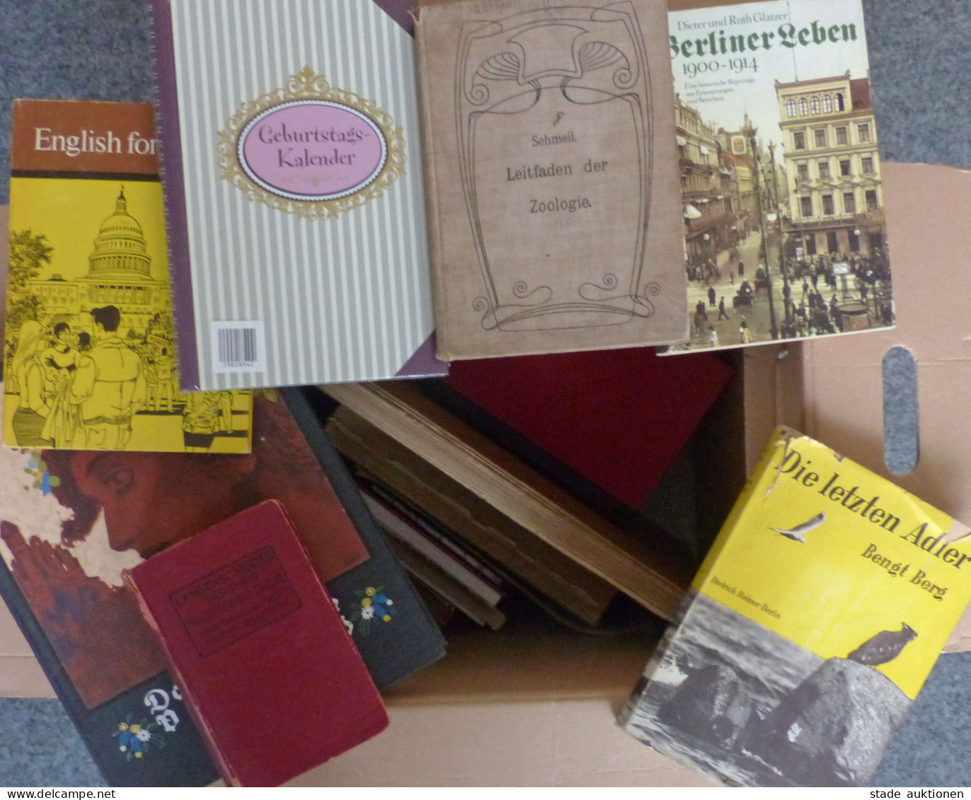 Buch Große Umzugskiste Mit 30 Büchern Von Alt Bis Neu Verschiedene Thematiken - 500 Postcards Min.