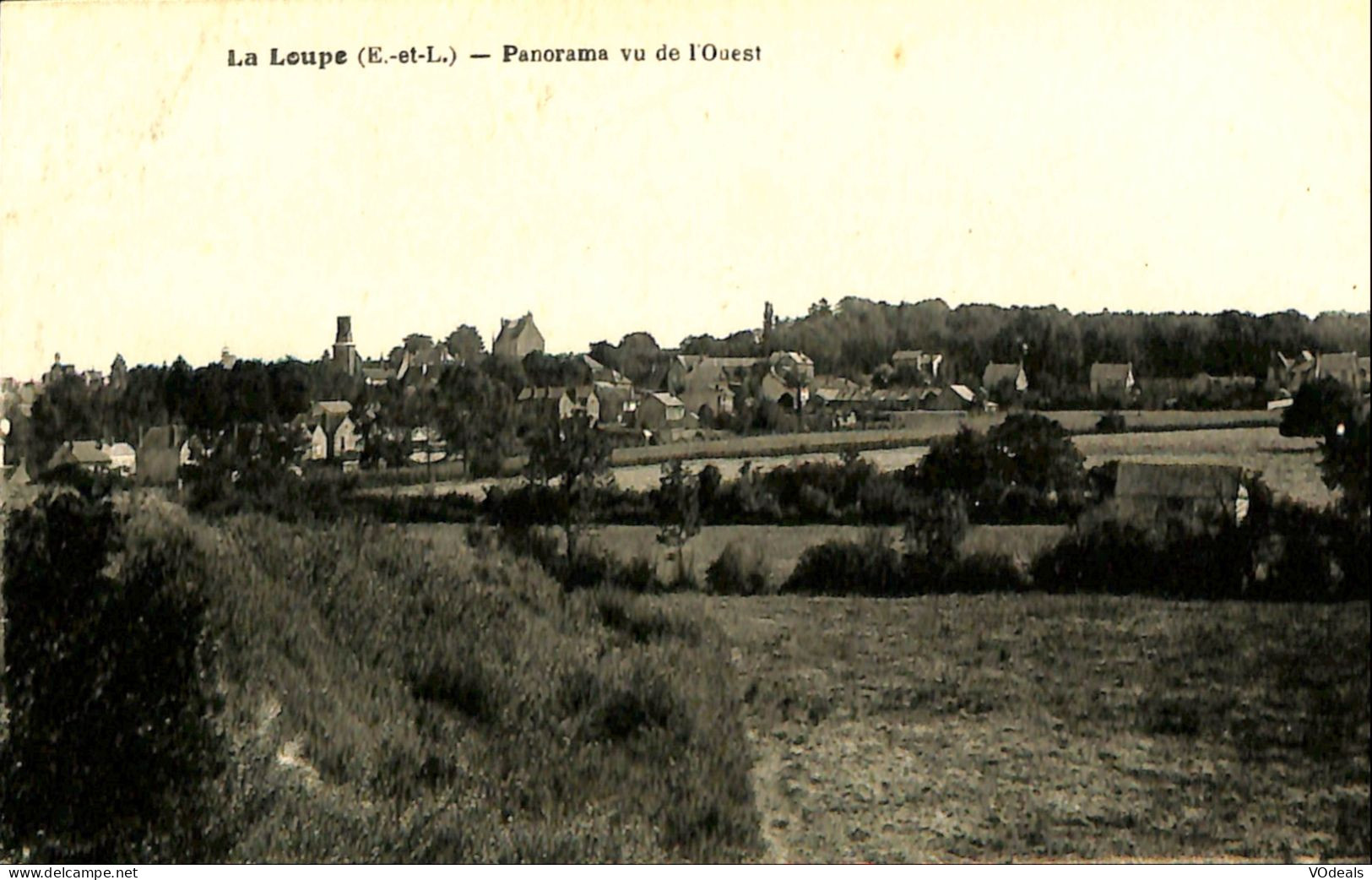 France (28) Eure Et Loire - La Loupe - Panorama Vu De L'Ouest - La Loupe