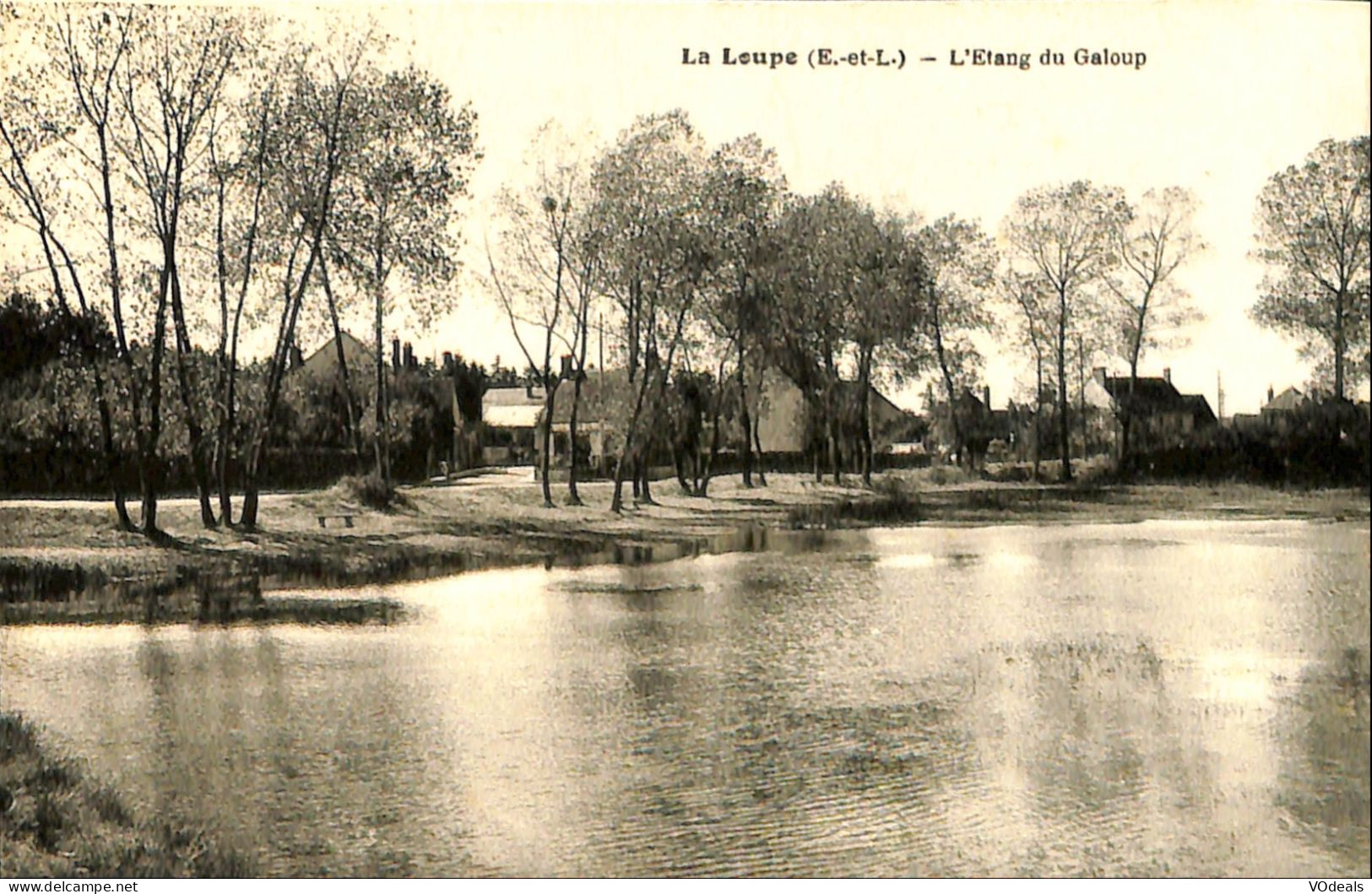 France (28) Eure Et Loire - La Loupe - L'Etang Du Galoup - La Loupe