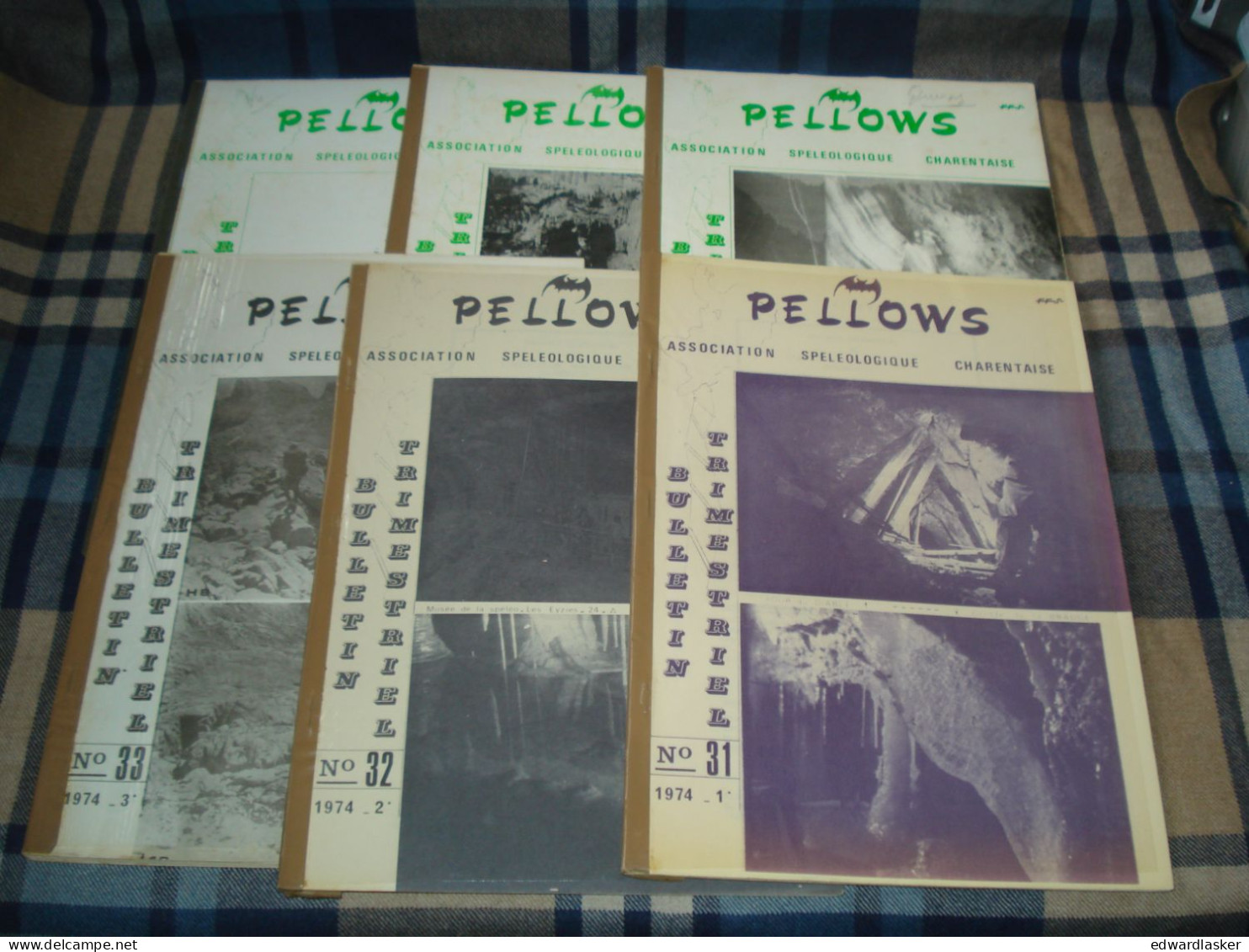 Régionalisme : PELLOWS - Lot De Bulletins De L'Assosiation Spéléologique Charentaise - Spéléologie - Poitou-Charentes