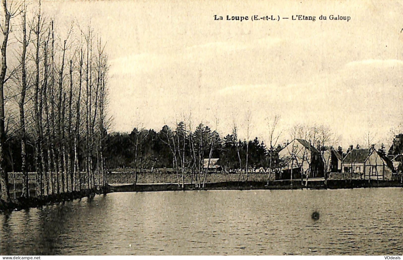 France (28) Eure Et Loire - La Loupe - L'étang Du Galoup - La Loupe