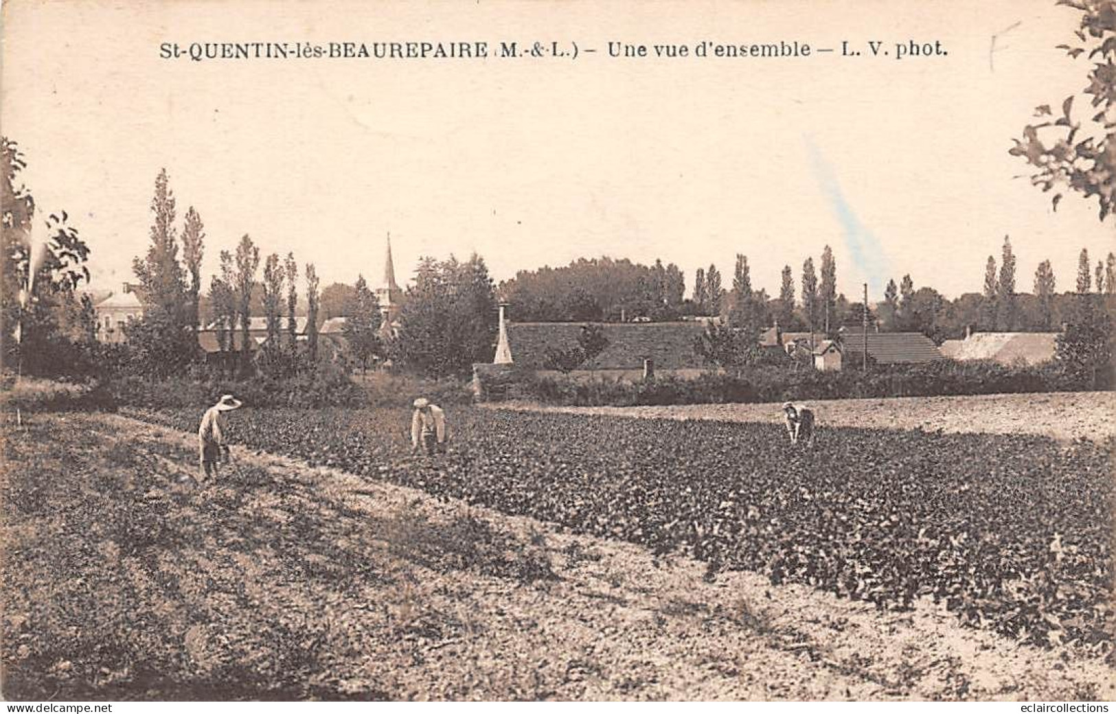 Saint Quentin Lès Beaurepaire             49        Vue D'ensemble .Agriculteurs     (Voir Scan) - Altri & Non Classificati