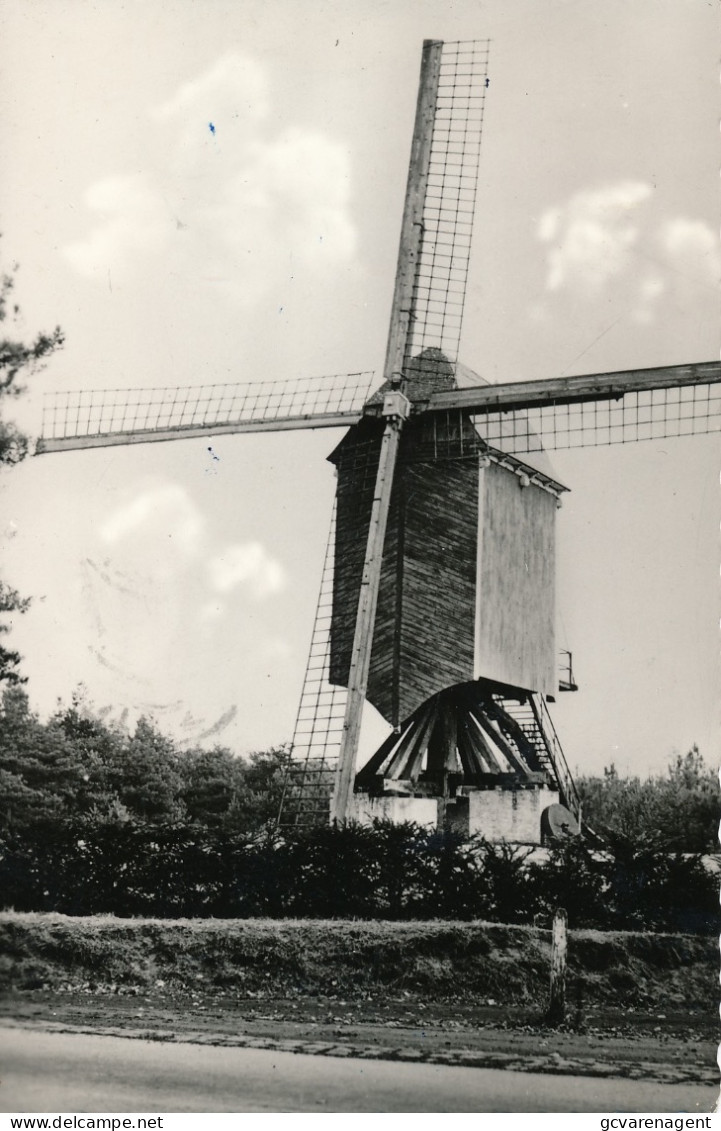 KASTERLEE  STANDAARD MOLEN              2 SCANS - Kasterlee