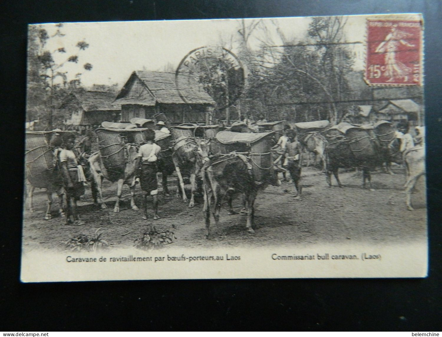 LAOS                    CARAVANE DE RAVITAILLEMENT PAR BOEUFS PORTEURS - Laos