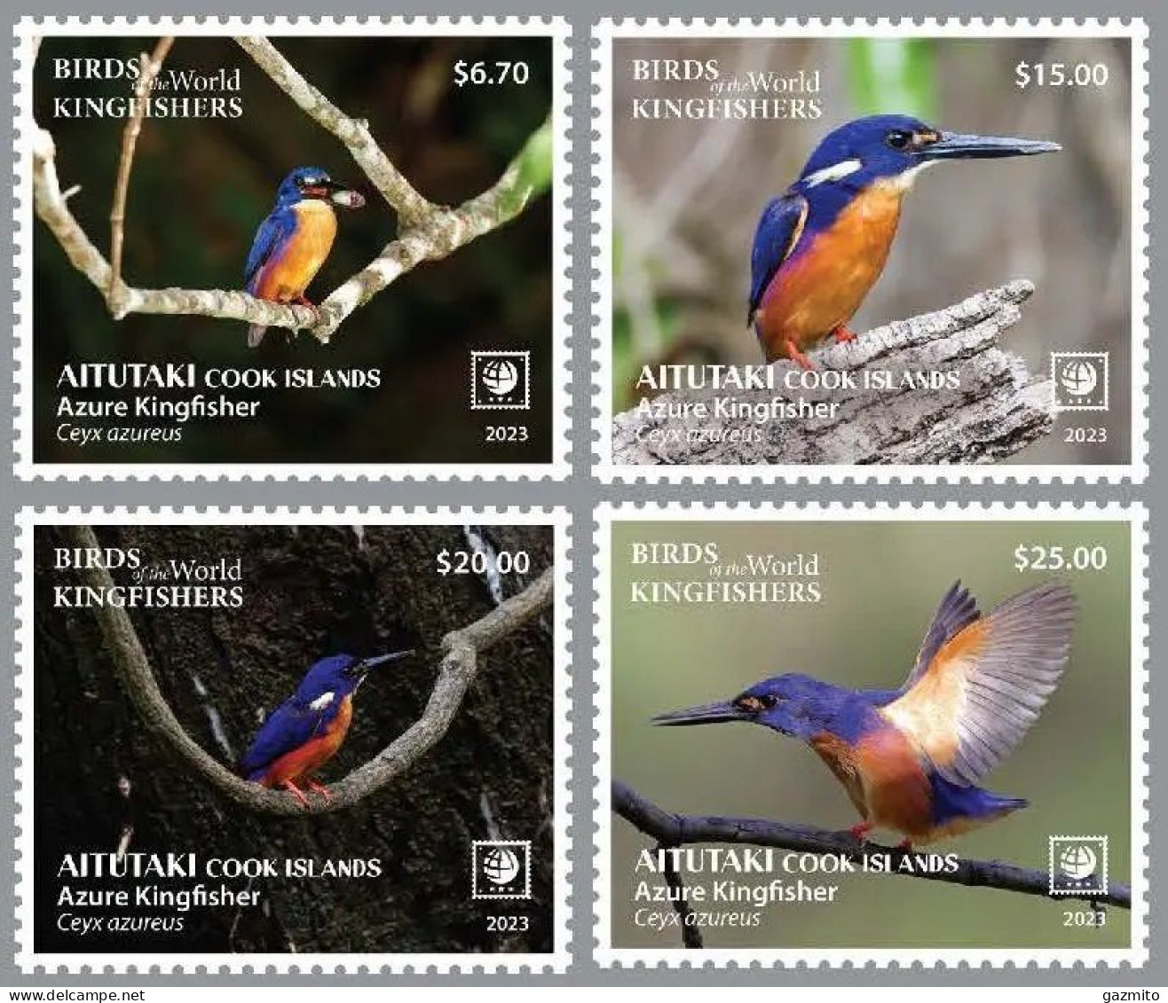 Aitutaki 2023, Birds, Kingfisher 4val - Marine Web-footed Birds