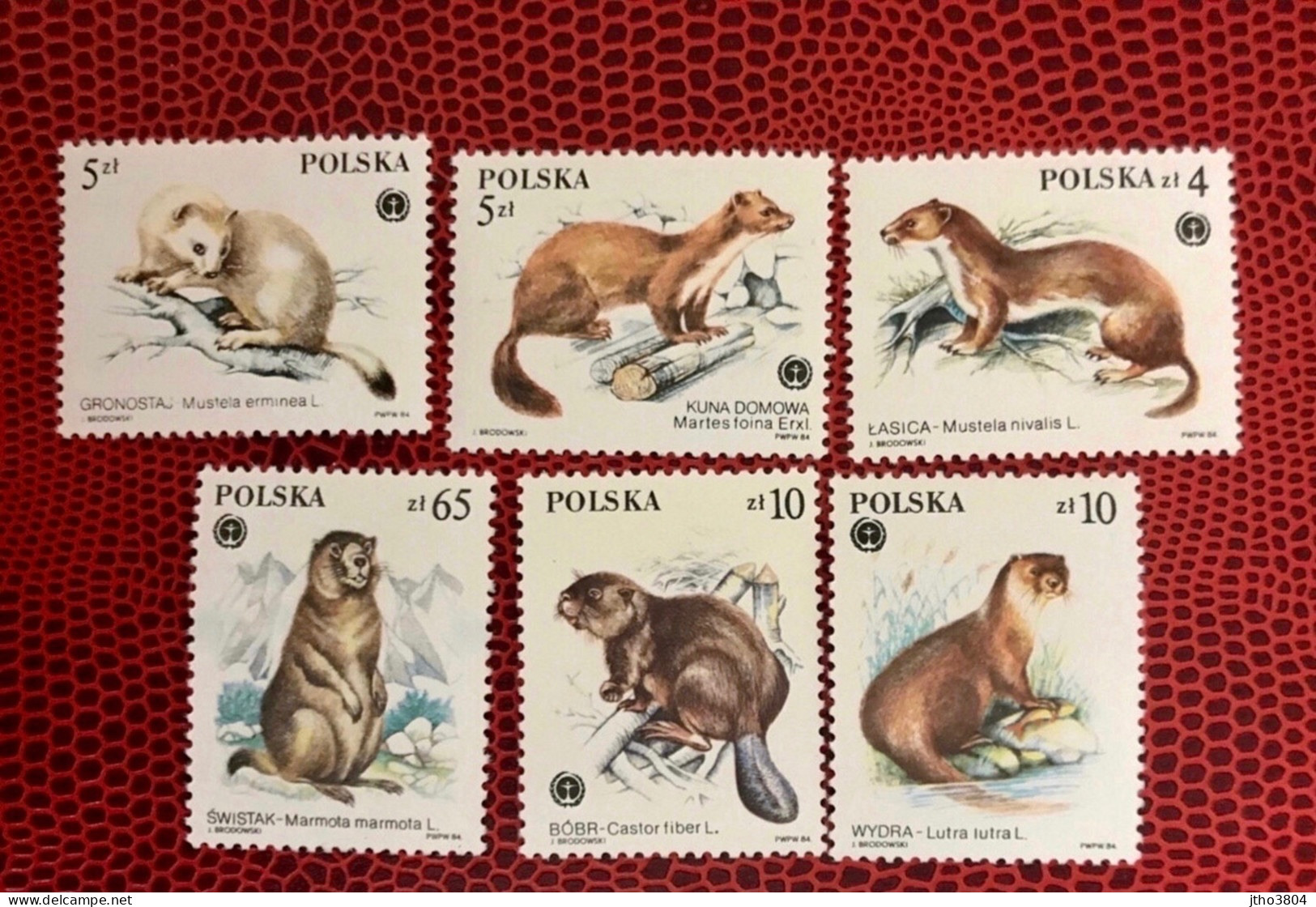 POLOGNE 1984 6v Neuf MNH ** Marten Beaver Mi 2946 /51 Mammifero Mammifère Mammal Mamífero Säugetiere POLEN POLAND POLSKA - Rodents