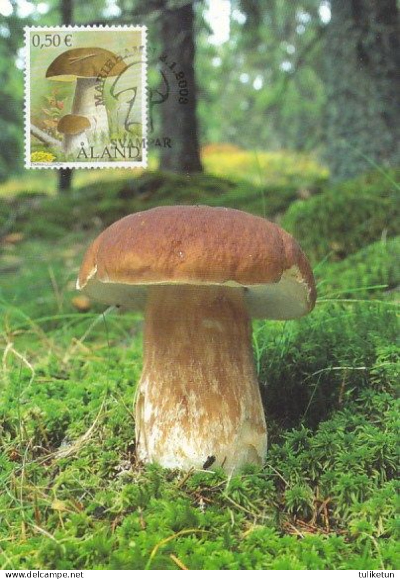 Mushroom - Champignon - Paddestoel - Pilz - Fungo - Cogumelo - Seta - Maxicard - Maximum Card - Pilze