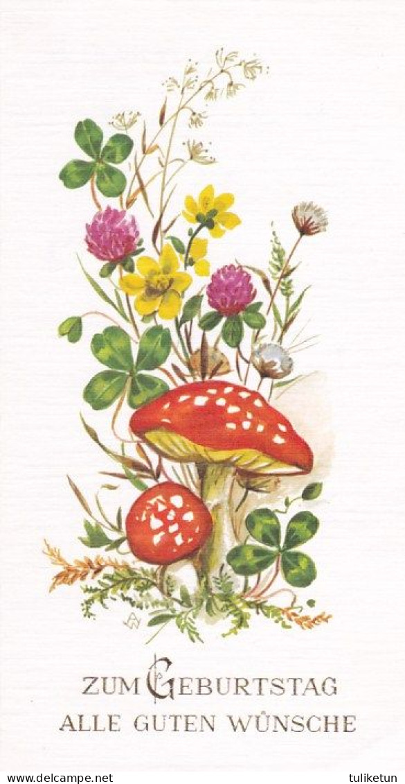 Mushroom - Champignon - Paddestoel - Pilz - Fungo - Cogumelo - Seta - Punakärpässieni - Fly Agaric - Double Card - Mushrooms