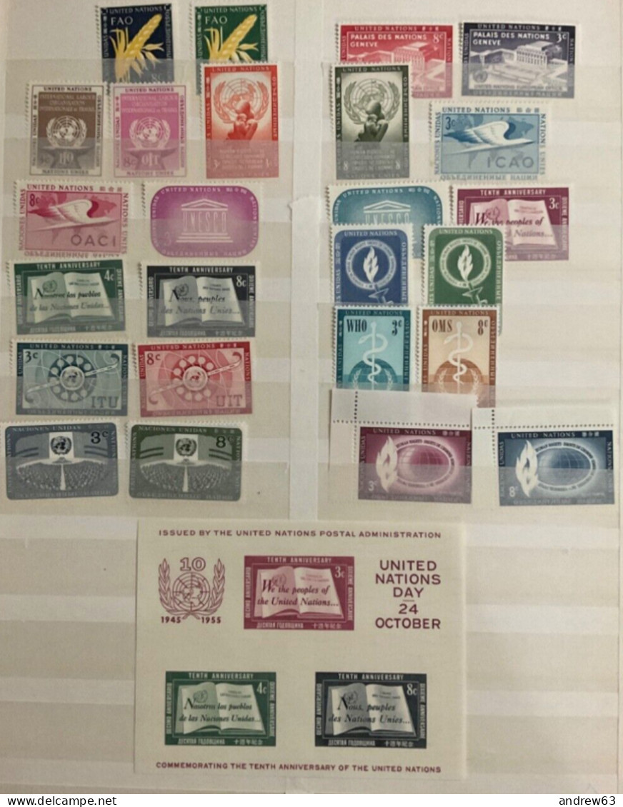 ONU - Nazioni Unite - United Nations - Nations Unies - New York - 1954+1955+1956 - Annata Completa Con BF 1 - Year Compl - Unused Stamps