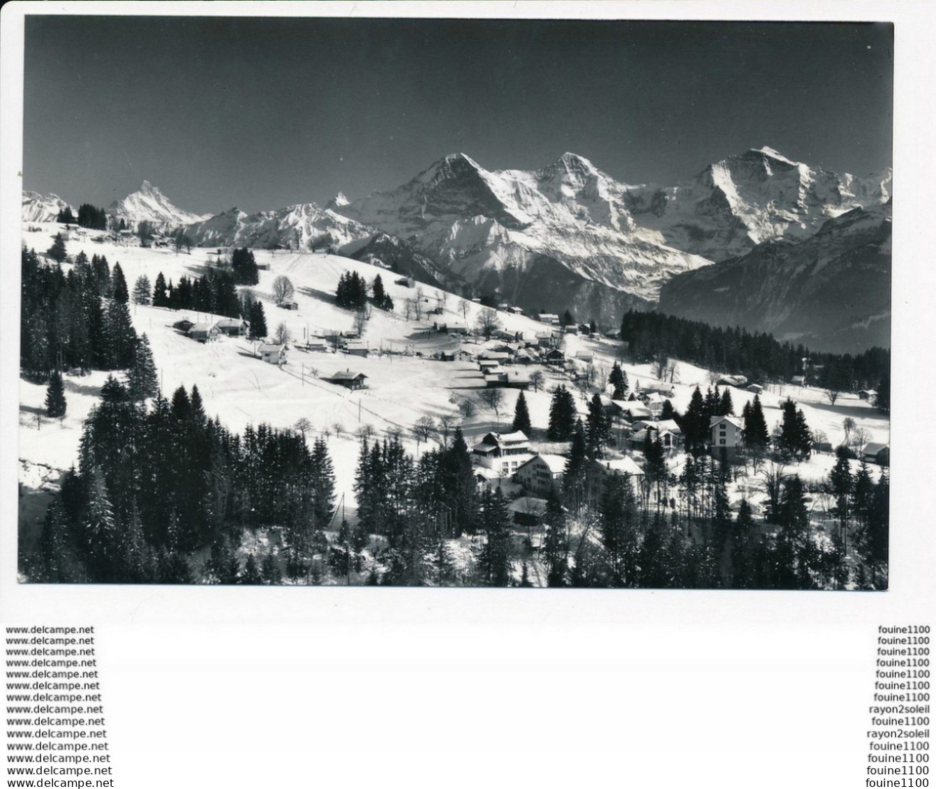 Beatenberg Waldegg Schreckhorn Finsteraarhorn Eiger MÃ¶nch Jungfrau  ( Format 14 X 9 Cm  )( Recto Verso ) - Wald