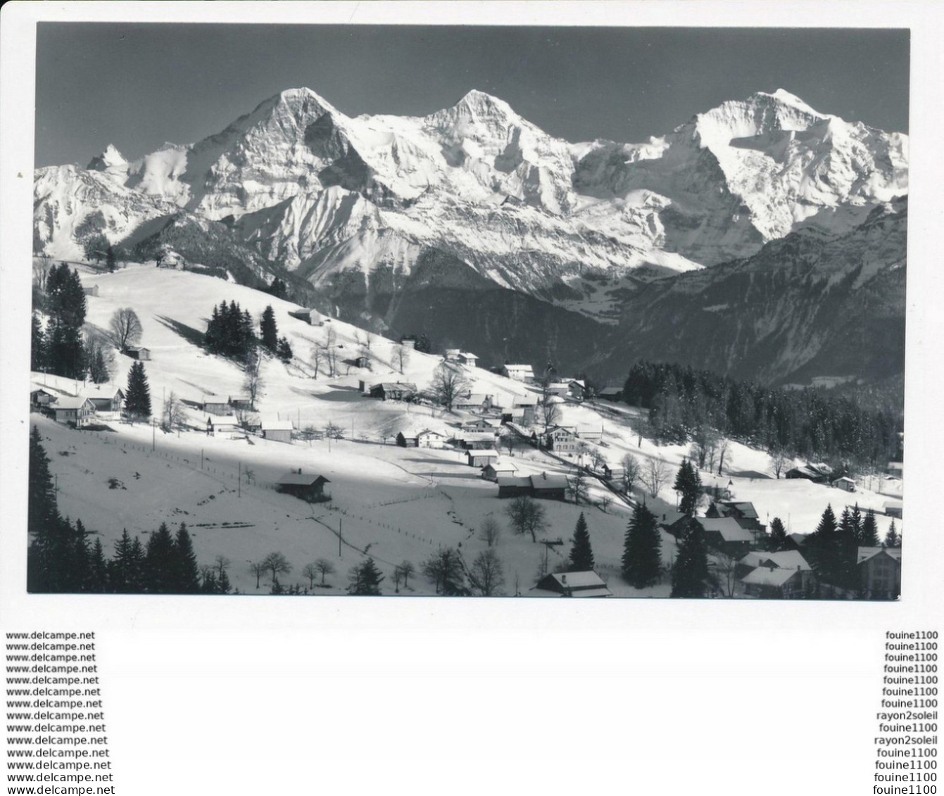 Beatenberg  Waldegg 1200 M Thunersee Finsteraarhorn Eiger MÃ¶nch  Jungfrau ( Format 14 X 9 Cm  )( Recto Verso ) - Wald