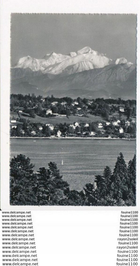 Carte De Genève  Le Mont Blanc  Et Le Coteau De Cologny ( Format C.P.A )( Recto Verso ) - Cologny