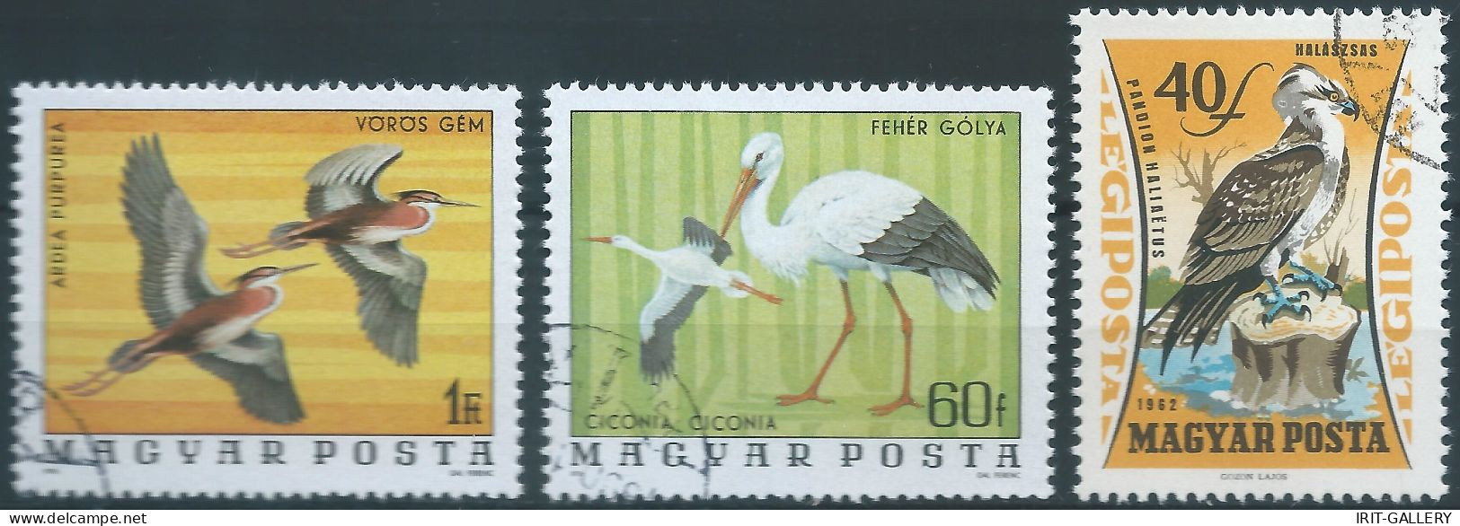 Hungary,MAGYAR - Birds - Fenicotteri