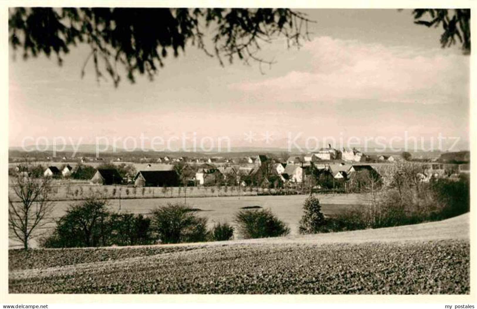 42751482 Gaisbeuren Mit Reute Panorama Gaisbeuren - Bad Waldsee