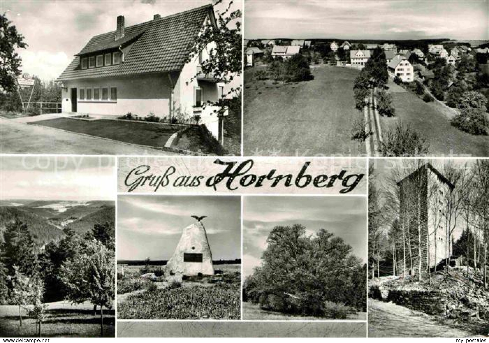 42746558 Hornberg Altensteig Gaststaette Albblick Denkmal Turm Panorama Hornberg - Altensteig