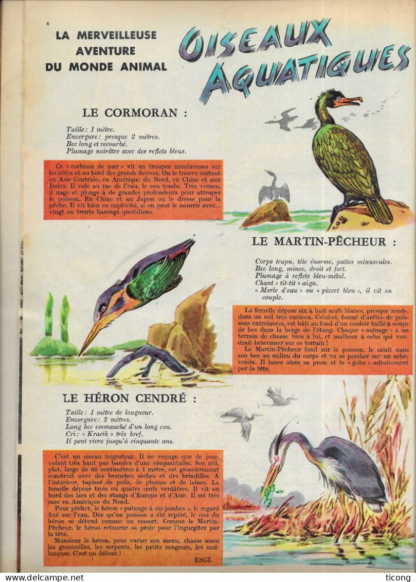 FRIPOUNET ET MARISETTE BD 1962 - OISEAUX AQUATIQUES, BARAGES HYDRO EMECTRIQUE, MARIE LENERU, SYLVAIN ET SYLVETTE... - Fripounet