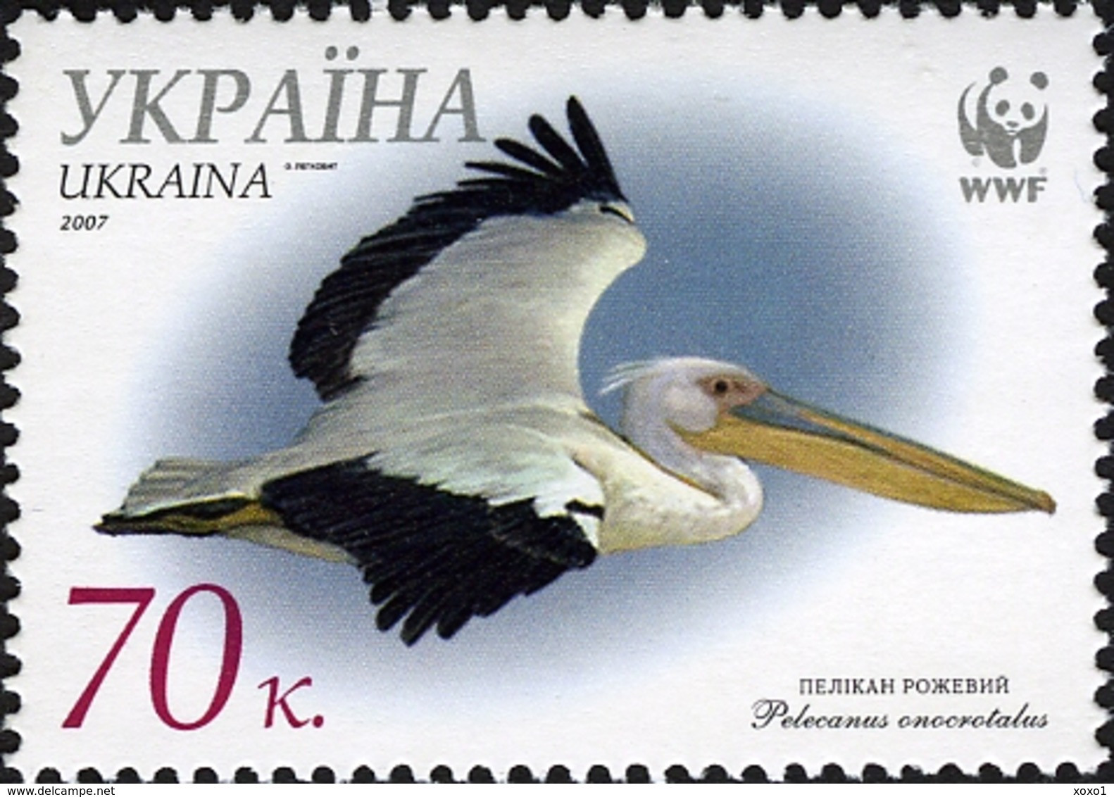 Ukraine 2007 MiNr. 897c - 900c  WWF Birds Rosapelikan Great White Pelican Local FDC 7,00 € - Covers & Documents