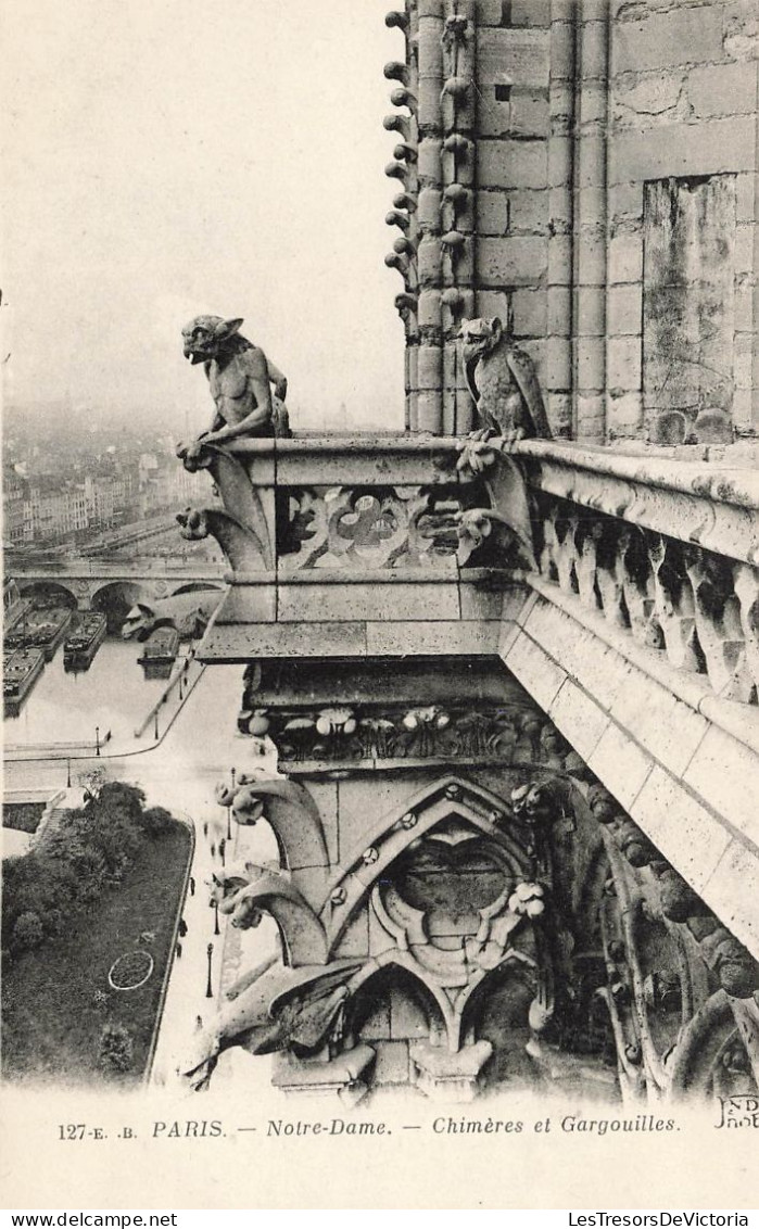 FRANCE - Paris - Vue Sur Les Chimères Et Gargouilles De Notre Dame - Carte Postale Ancienne - Notre Dame Von Paris