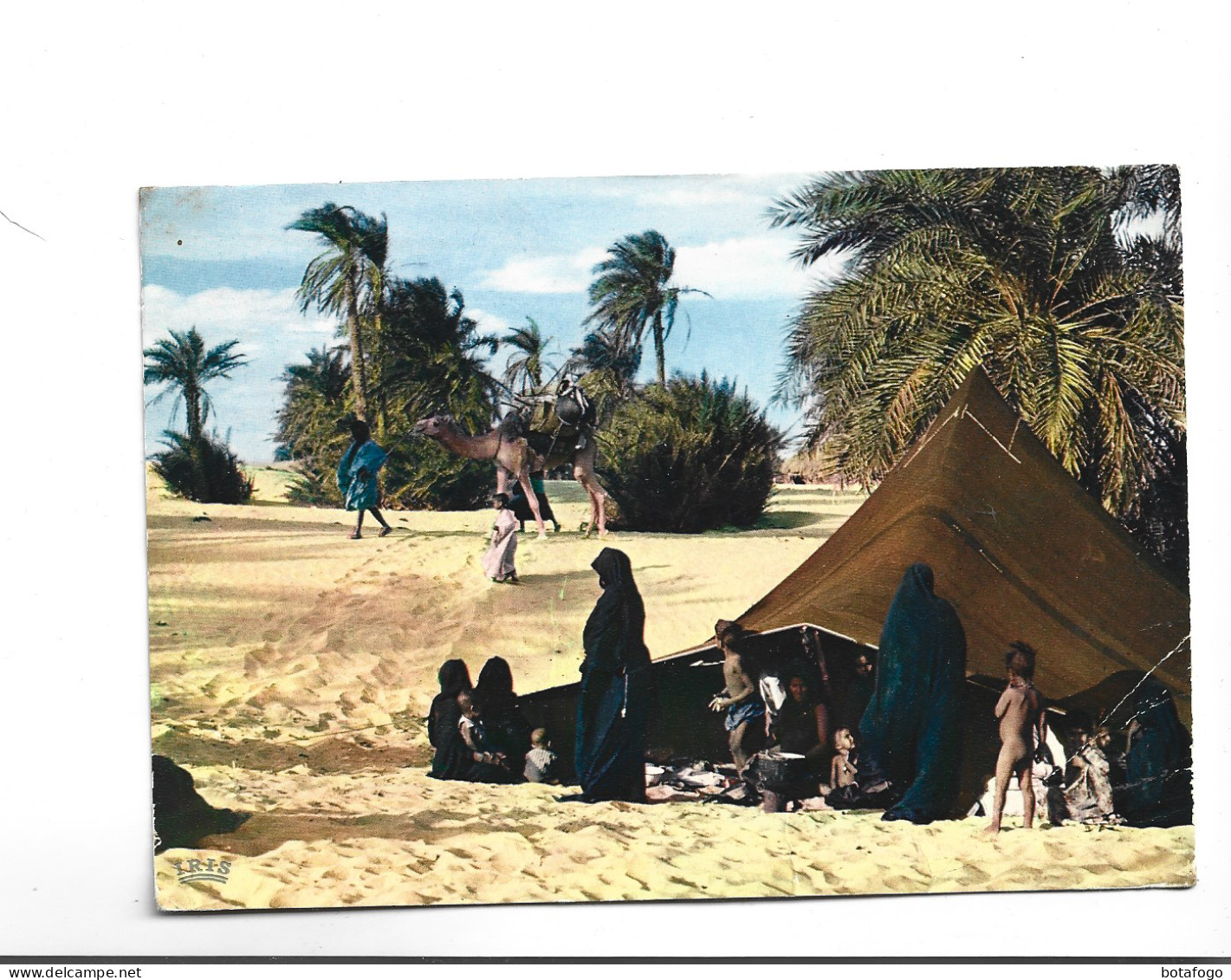 CPM    MAURITANIE , LA VIE SOUS LA TENTE  (voir Timbre) - Mauritanie