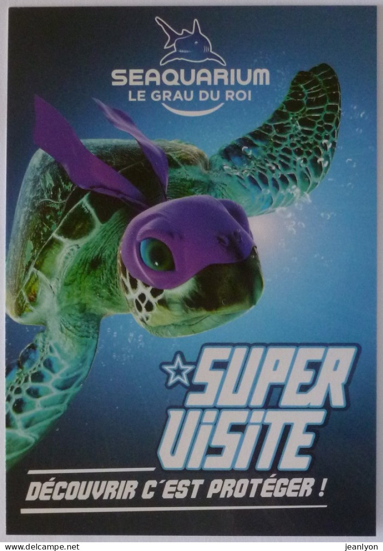 TORTUE MASQUEE / Aquarium - Carte Publicitaire - Schildpadden