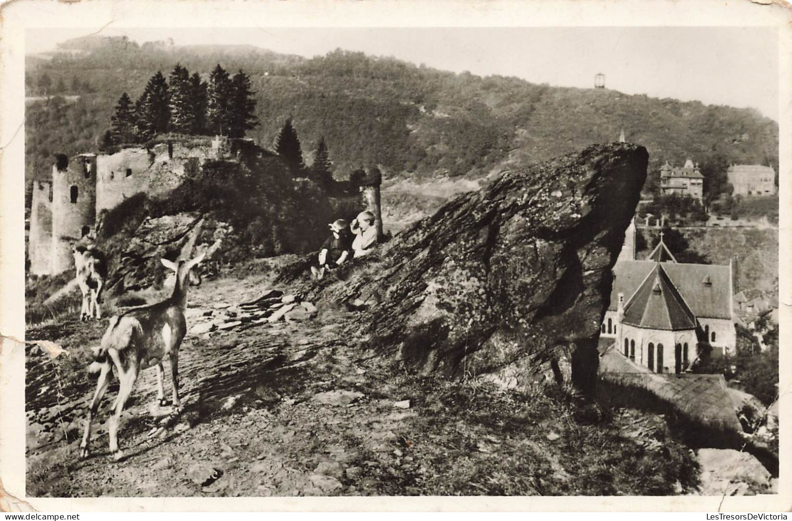 BELGIQUE - La Roche En Ardenne - Le Château - Biche - Carte Postale Ancienne - La-Roche-en-Ardenne