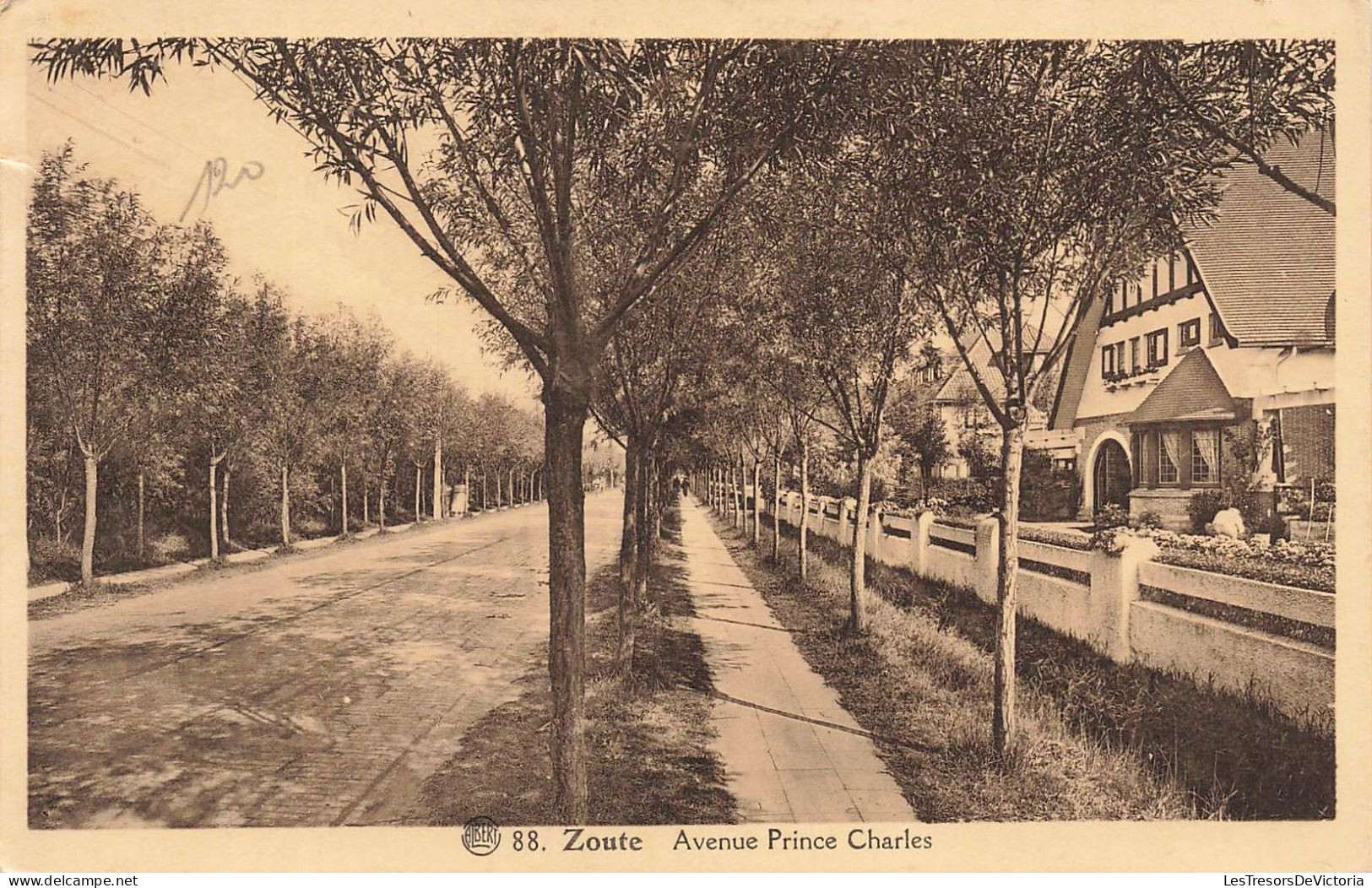 BELGIQUE - Zoute - Avenue Prince Charles - Carte Postale Ancienne - Knokke