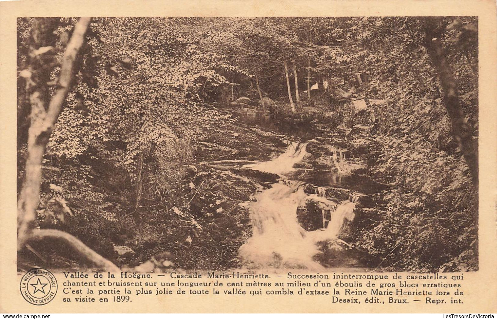 BELGIQUE - Waimes - Vallée De La Hoëgne - Cascade Marie Henriette - Succession Ininterrompue De - Carte Postale Ancienne - Weismes