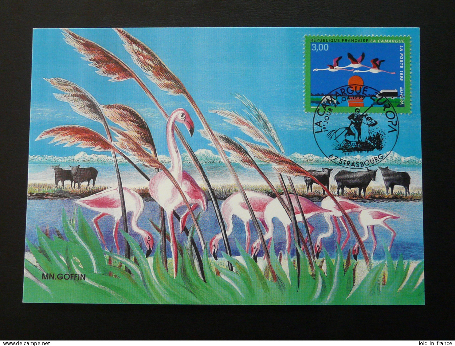 Carte Maximum Card Flamant Rose Pink Flamingo Europa France 1999 - 1999