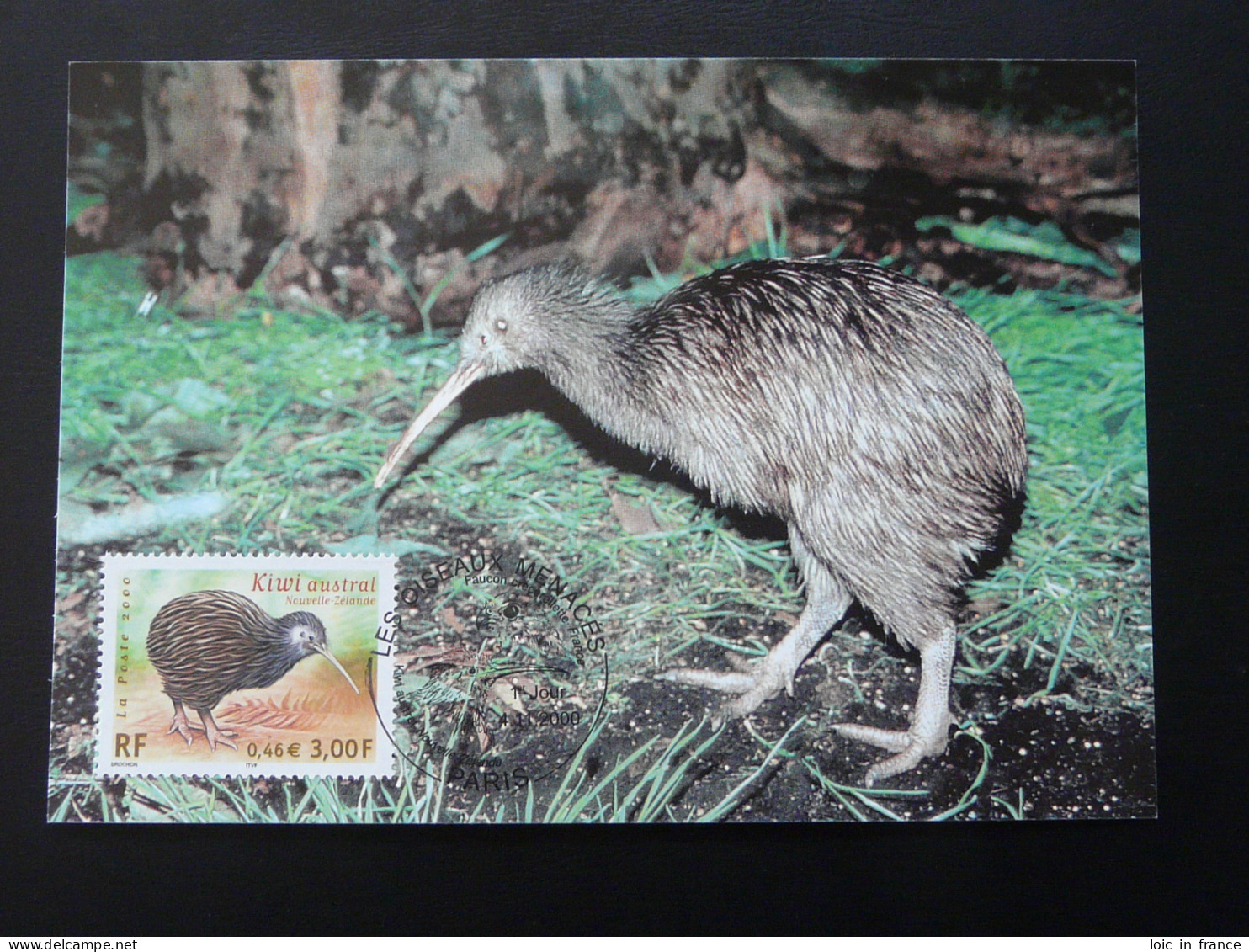 Carte Maximum Card Oiseau Kiwi Bird France 2000 - Kiwi
