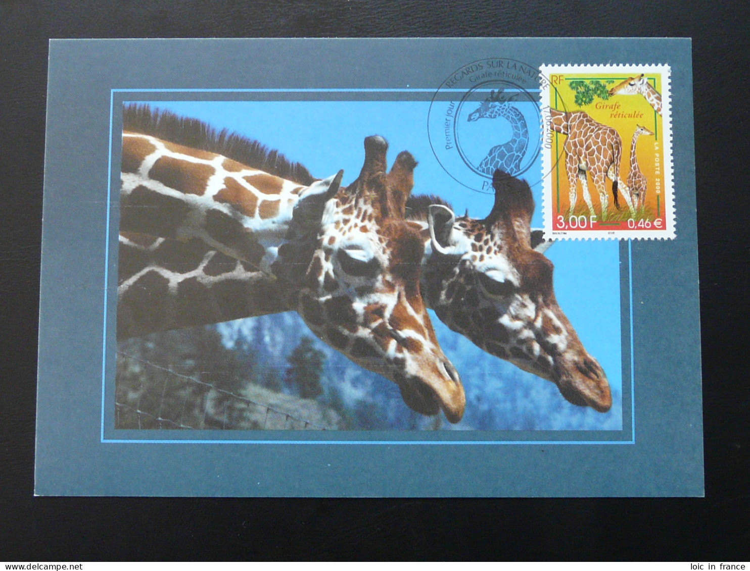 Carte Maximum Card Girafe Giraffe France 2000 - Giraffes
