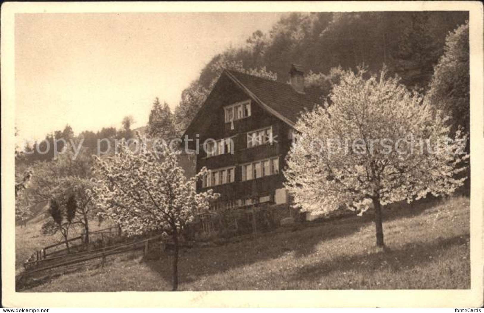 11745192 Heiden AR Chalet Heiden - Sonstige & Ohne Zuordnung