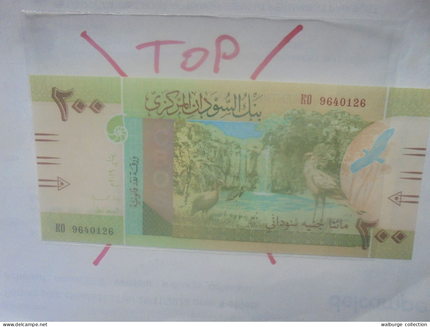 SOUDAN 200 POUNDS 2019 Neuf (B.31) - Sudan