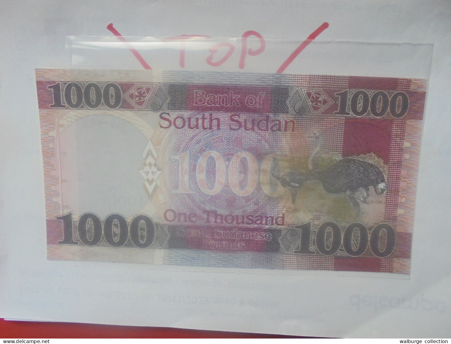 SOUDAN (SUD) 1000 POUNDS 2020 Neuf (B.31) - Sudan Del Sud