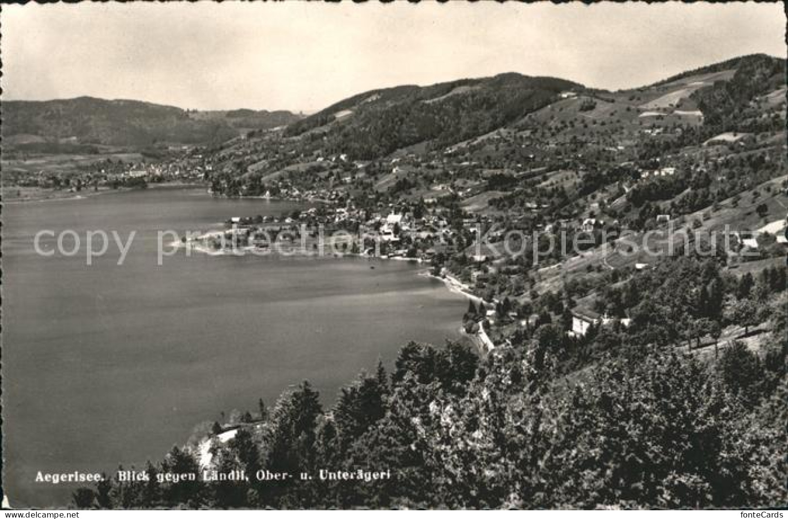 11736752 Aegerisee Aegerisee Unteraegeri Unter-Aegeri ZG Blick Vom Laendlie Auf  - Sonstige & Ohne Zuordnung