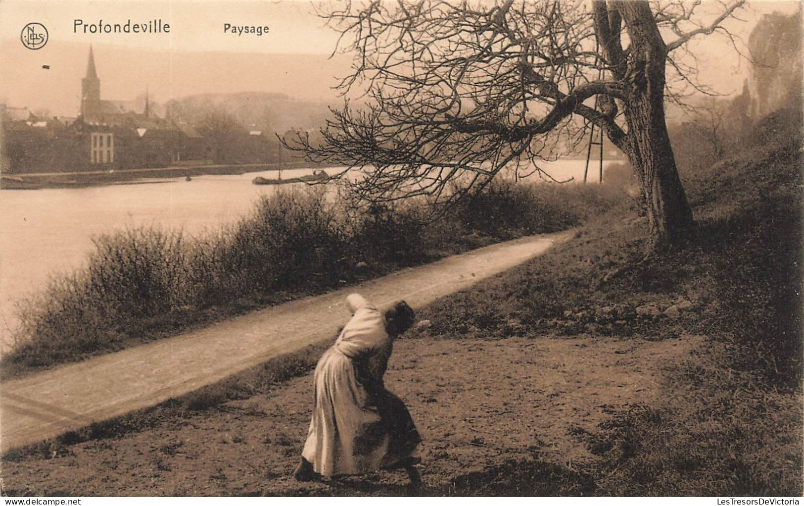 BELGIQUE - Profondeville - Paysage - Carte Postale Ancienne - Profondeville