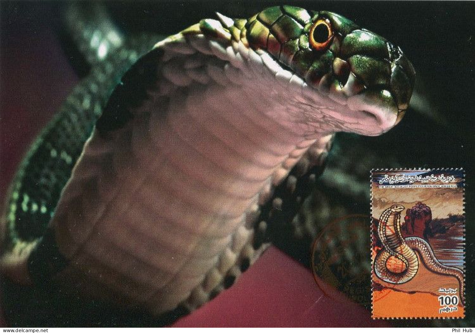 LIBYA 1996 Reptiles Snakes Cobra "Elapidae" (maximum-card) #7 - Serpents