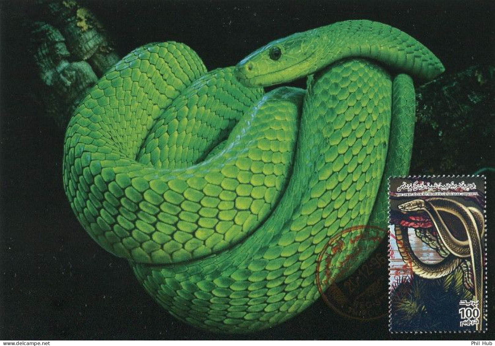 LIBYA 1996 Reptiles Snakes "Dendroaspis Viridis" (maximum-card) #4 - Serpents