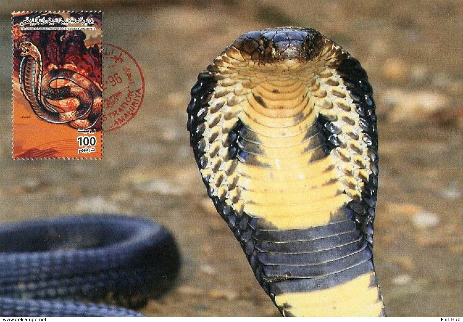 LIBYA 1996 Reptiles Snakes Cobra "Elapidae" (maximum-card) #6 - Serpents