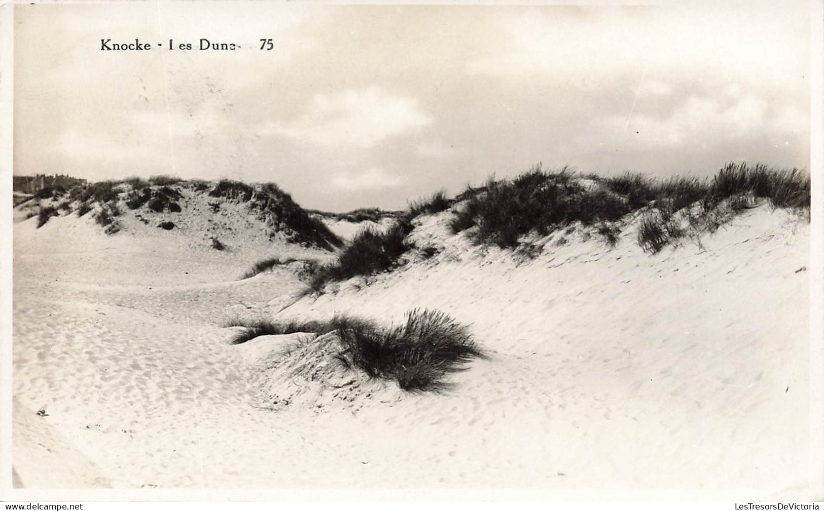 BELGIQUE - Knocke - Les Dunes - Carte Postale Ancienne - Knokke