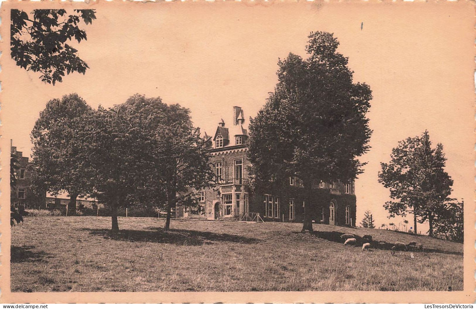 BELGIQUE - Anhée - Château De Senenne - Carte Postale Ancienne - Anhée