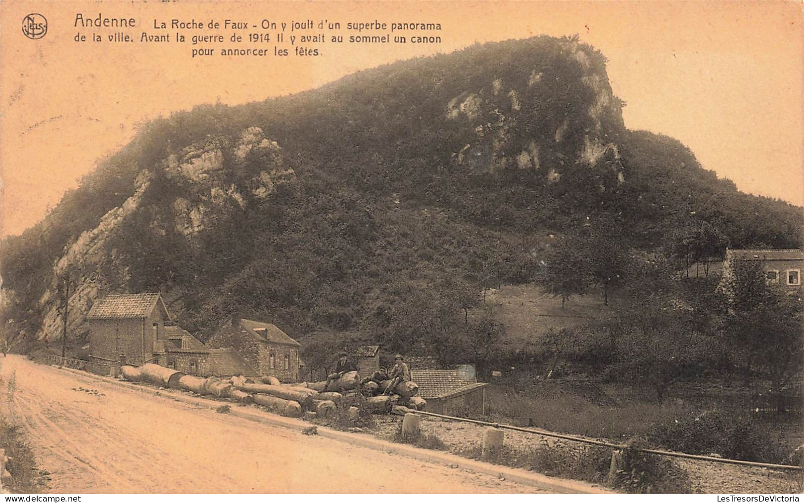 BELGIQUE - Andenne - La Roche De Faux - Carte Postale Ancienne - Andenne