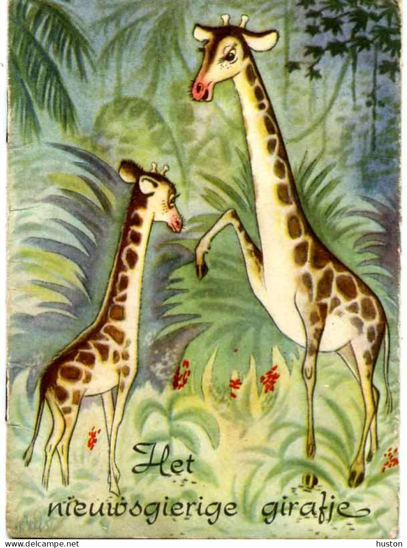 GIRAFE Et Son Petit - Het Nieuwsgierige Girafje - Carte Livre Enfant - Giraffes