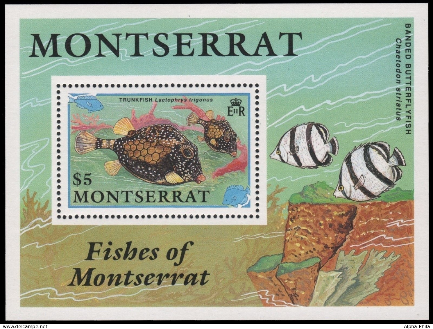 Montserrat 1991 - Mi-Nr. Block 60 ** - MNH - Fische / Fish - Montserrat
