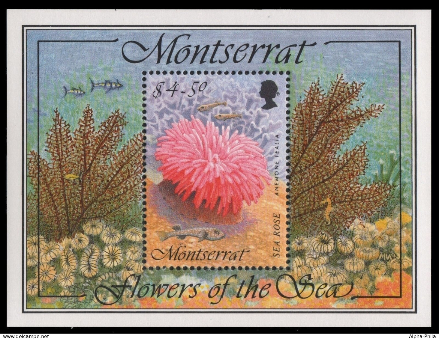 Montserrat 1995 - Mi-Nr. Block 68 ** - MNH - Meeresleben / Marine Life - Montserrat