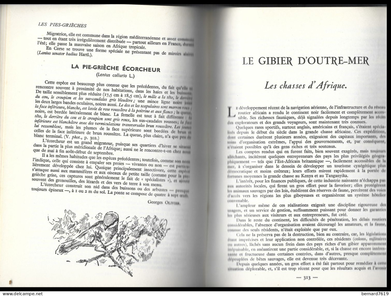 Livre - La Chasse  -    Par G M Villenave - Chasse/Pêche