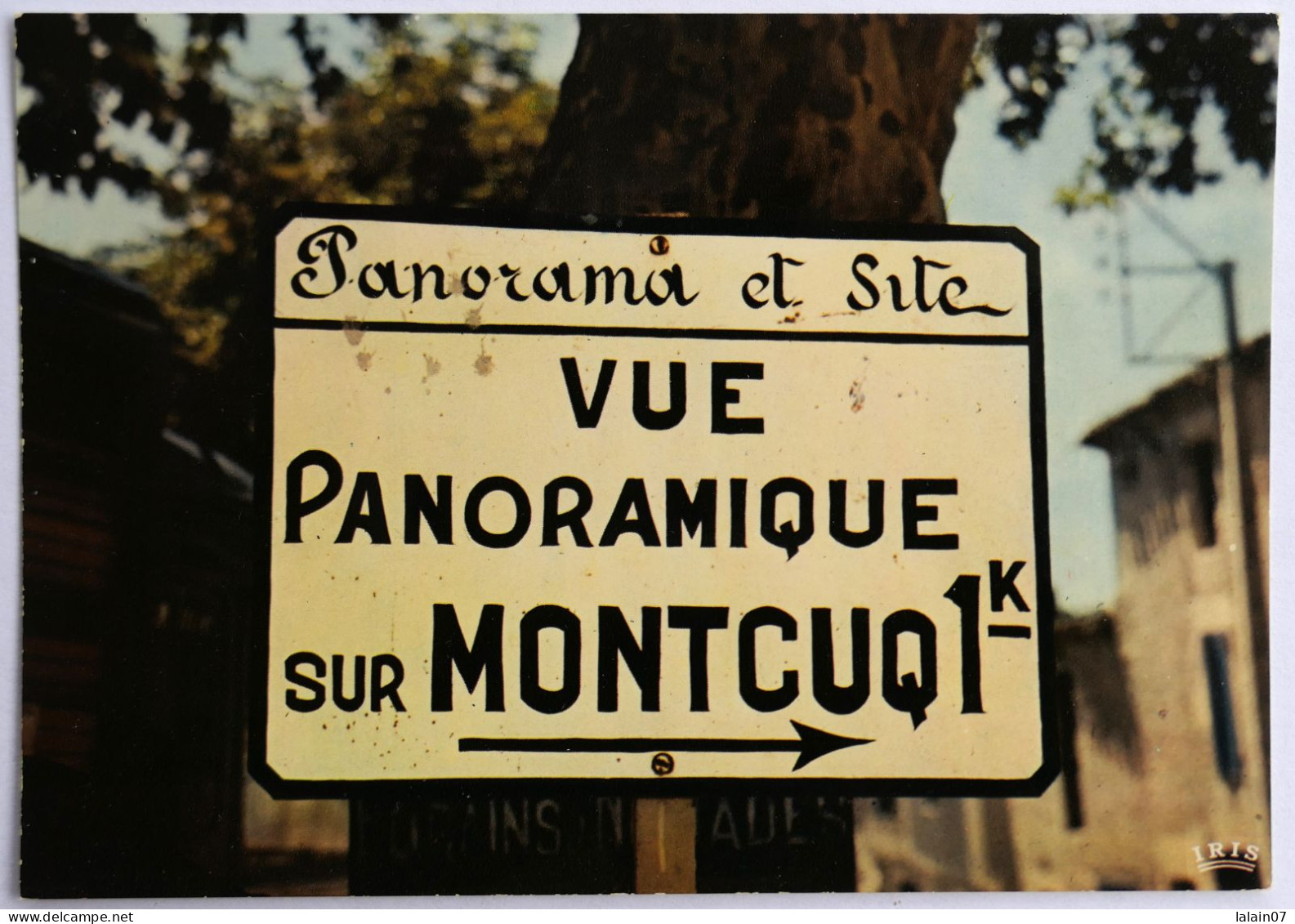 Carte Postale : 46 : Vue Panoramique Sur MONTCUQ - Montcuq